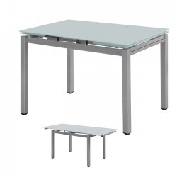 Τραπέζι 110+(30+30)x70cm γυαλί άσπρο βαφή γκρι c9616