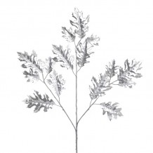 Φυτό Κλαδί c133539