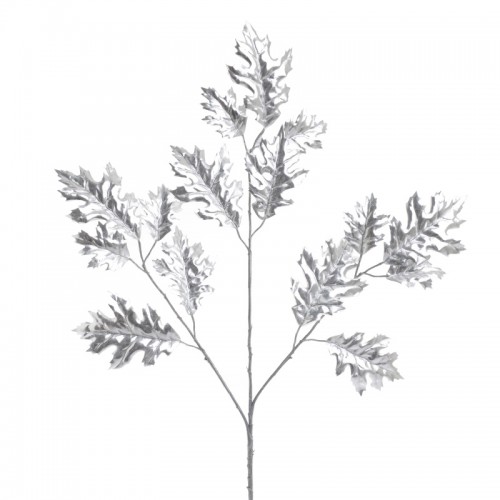 Φυτό Κλαδί c133539