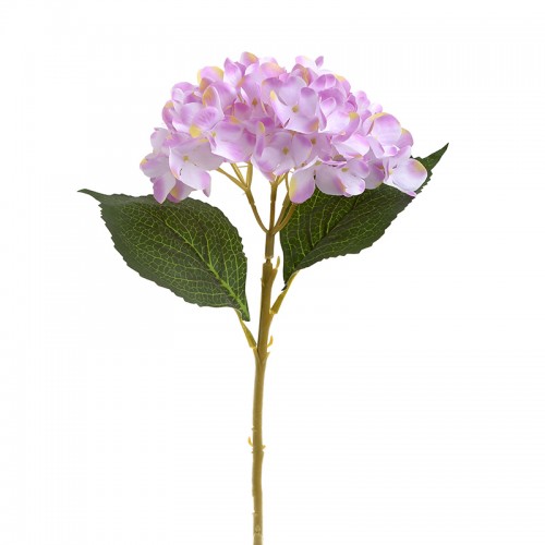 Λουλούδι Μπουκέτο c134474