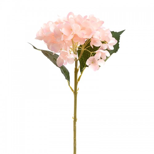 Λουλούδι Μπουκέτο c134501