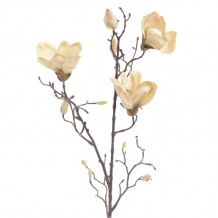 Λουλούδι Κλαδί c135898