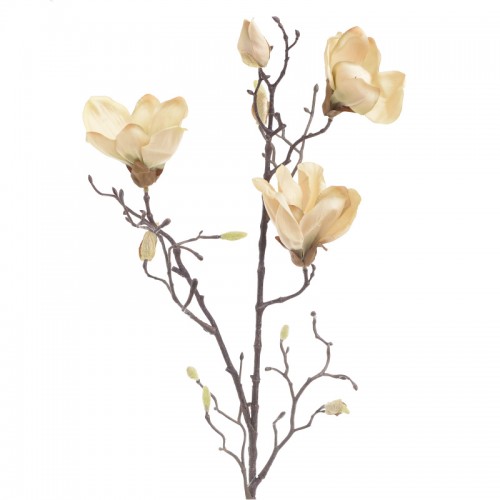 Λουλούδι Κλαδί c135898