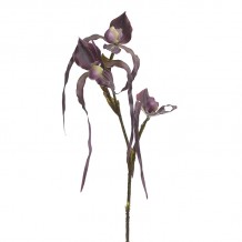 Κλαδί Λουλούδι c136880