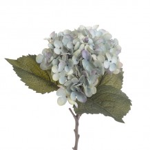 Λουλούδι Διακοσμητικό c138452