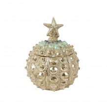 OCEAN 2 ΔΙΑΚΟΣΜΗΤΙΚΟ ΚΟΥΤΙ ΧΡΥΣΟ Δ15 5xY19 5cm c164198