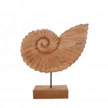 MR SHELL ΔΙΑΚΟΣΜΗΤΙΚΟ ΣΕ ΦΥΣΙΚΟ ΞΥΛΟ 49 5x9xY53 5cm c237263