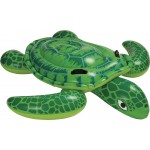 Lil Sea Turtle 57524