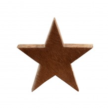 PEUPLE ΧΡΙΣΤΟΥΓΕΝΝΙΑΤΙΚΟ ΑΣΤΕΡΙ ΞΥΛΙΝΟ ΜΕ ΚΑΦΕ ΓΟΥΝΑ 20x4xΥ20cm c289581