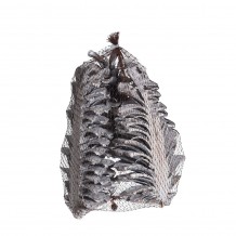 MARITIMA ΔΙΑΚΟΣΜΗΤΙΚΟ ΚΟΥΚΟΥΝΑΡΙ ΛΕΥΚΟ 14x9xΥ6cm ΣΕΤ 3ΤΕΜ c289657