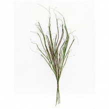 MALULU ΚΛΑΔΙ ΠΡΑΣΙΝΟ Υ95cm c305536