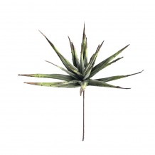 MALULU ΦΥΛΛΑ ΠΡΑΣΙΝΟ ΚΟΚΚΙΝΟ Υ90cm c305537