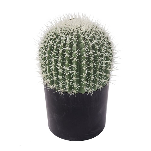 FEROCACTUS ΚΑΚΤΟΣ ΣΕ ΓΛΑΣΤΑ ΠΡΑΣΙΝΟΣ Δ18xΥ30cm c337569