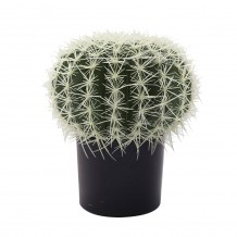 FEROCACTUS ΚΑΚΤΟΣ ΣΕ ΓΛΑΣΤΑ ΠΡΑΣΙΝΟΣ Δ25xΥ33cm c337570