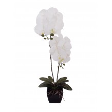 ORCHIDEA 2 ΦΥΤΟ ΣΕ ΓΛΑΣΤΑ ΛΕΥΚΟ 30x14xΥ82cm c337576