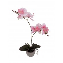 ORCHIDEA 3 ΦΥΤΟ ΣΕ ΓΛΑΣΤΡΑ ΡΟΖ Δ9xΥ48cm c337578