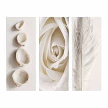 ΠΙΝΑΚΑΣ ΤΡΙΠΤΥΧΟ MDF NATURAL ELEMENTS HM7204 05 60X0 3X50 εκ c363798