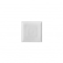 Τετράγωνος δίσκος SUSHI 14 5x14 5cm ΣΕΤ 10 ΤΕΜΑΧΙΩΝ c372857