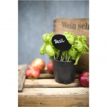 Σετ 5 τεμάχια μίνι οβαλ ταμπελάκια καρφωτά 18x8x0 3 cm με 1 μαρκαδόρο c373212