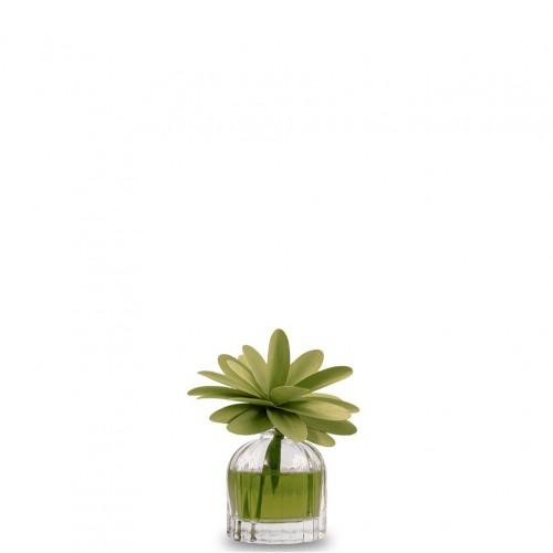 Άρωμα 60ml για 15μ2 Mosto Supremo με ξύλινο διαχητή πράσινο λουλούδι MUHA c375771
