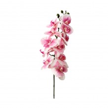 ORCHIDEE ΤΕΧΝΗΤΟ ΛΟΥΛΟΥΔΙ ΡΟΖ Υ91cm c402455