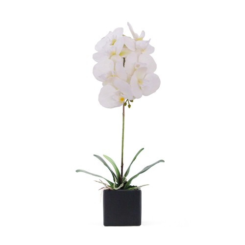 ORCHIDEA 4 ΤΕΧΝΗΤΟ ΦΥΤΟ ΣΕ ΓΛΑΣΤΡΑ ΛΕΥΚΟ Υ63cm c402466