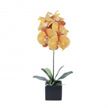 ORCHIDEA 4 ΦΥΤΟ ΣΕ ΓΛΑΣΤΡΑ ΚΙΤΡΙΝΟ ΠΟΡΤΟΚΑΛΙ Υ63cm c402467
