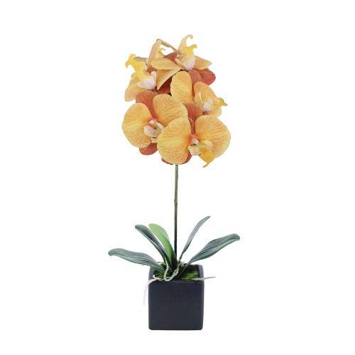 ORCHIDEA 4 ΦΥΤΟ ΣΕ ΓΛΑΣΤΡΑ ΚΙΤΡΙΝΟ ΠΟΡΤΟΚΑΛΙ Υ63cm c402467