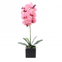 ORCHIDEA 4 ΤΕΧΝΗΤΟ ΦΥΤΟ ΣΕ ΓΛΑΣΤΡΑ ΡΟΖ ΚΙΤΡΙΝΟ Υ63cm c402468