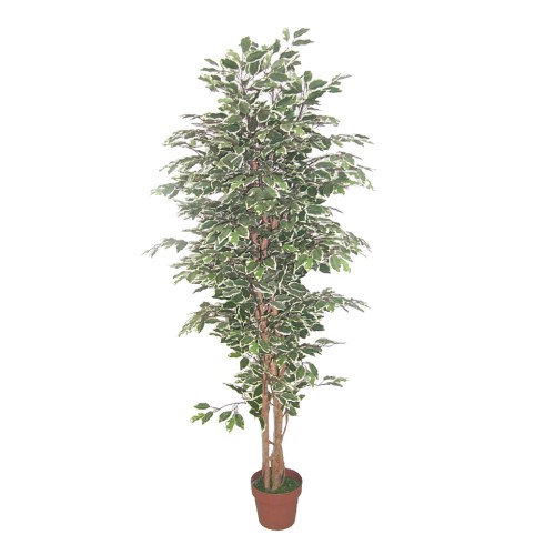 FICUS TEXNHTO ΦΥΤΟ ΠΡΑΣΙΝΟ Υ170cm c409278