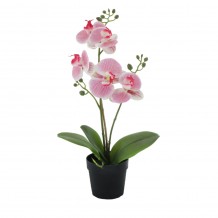 ORCHID 1 TEXNHTO ΦΥΤΟ ΡΟΖ ΠΡΑΣΙΝΟ Υ35cm c409285
