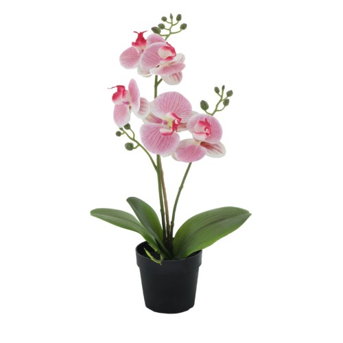 ORCHID 1 TEXNHTO ΦΥΤΟ ΡΟΖ ΠΡΑΣΙΝΟ Υ35cm c409285