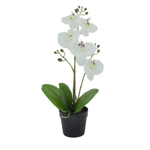 ORCHID 3 TEXNHTO ΦΥΤΟ ΛΕΥΚΟ ΠΡΑΣΙΝΟ Υ35cm c409287