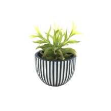 LAKHSMI 3 ΤΕΧΝΗΤΟ ΦΥΤΟ ΣΕ ΚΑΣΠΩ ΜΑΥΡΟ ΛΕΥΚΟ ΠΡΑΣΙΝΟ c409455