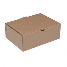 Κουτί Kraft Microwelle 22x19x9cm Σετ 100 c412180