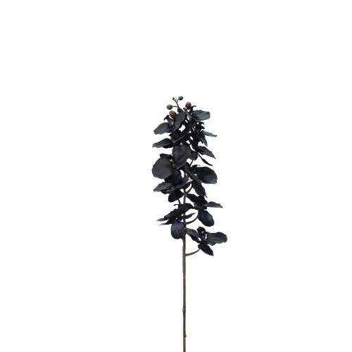 ORCHIDEE ΤΕΧΝΗΤΟ ΛΟΥΛΟΥΔΙ ΥΦΑΣΜΑ ΠΛΑΣΤΙΚΟ ΜΑΥΡΟ H90cm c416091