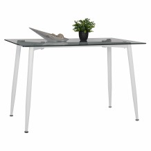 ΤΡΑΠΕΖΙ ΚΟΥΖΙΝΑΣ ΜΕΤΑΛΛΙΚΟ IDELLA ΛΕΥΚΟ ΜΑΤ ΜΕ ΓΥΑΛΙ HM8498 03 120X70X75Υ εκ c419338