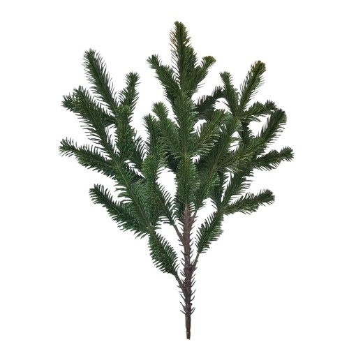 XMAS GREN ΚΛΑΔΙ PVC ΠΡΑΣΙΝΟ H50cm c422309