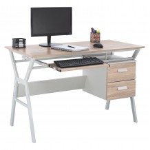 ΓΡΑΦΕΙΟ SONOMA ΜΕ ΛΕΥΚΟ ΣΚΕΛΕΤΟ HM2130 01 120X60X76εκ c433851