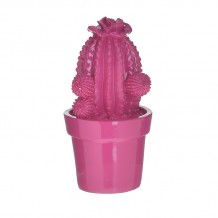 INART ΦΥΤΟ ΣΕ ΓΛΑΣΤΡΑΚΙ ΚΑΚΤΟΣ RESIN ΦΟΥΞΙΑ Φ12Χ21 12x12x21 c447536