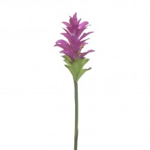 INART ΚΛΑΔΙ ΛΟΥΛΟΥΔΙ ΜΩΒ Υ78 c447889