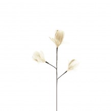 LAUREL PEARL ΤΕΧΝΗΤΟ ΚΛΑΔΙ ΜΕ ΦΤΕΡΑ ΦΤΕΡΟ ΚΡΕΜ H54cm c455154