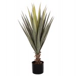 ΔΙΑΚΟΣΜΗΤΙΚΟ ΣΥΝΘΕΤΙΚΟ ΦΥΤΟ HM7986 SISAL AGAVE ΣΕ ΓΛΑΣΤΡΑ Φ15 5x14 5-96Υεκ c469749