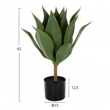 ΔΙΑΚΟΣΜΗΤΙΚΟ ΣΥΝΘΕΤΙΚΟ ΦΥΤΟ HM7998 ΑΚΑΝΘΩΔΕΣ ΠΛΑΤΥΦΥΛΛΟ ΣΕ ΓΛΑΣΤΡΑ Φ15x12 5-62Υεκ c469751