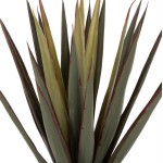 ΔΙΑΚΟΣΜΗΤΙΚΟ ΣΥΝΘΕΤΙΚΟ ΦΥΤΟ HM7985 SISAL AGAVE ΣΕ ΓΛΑΣΤΡΑ Φ13 5x13-76Υεκ c469752