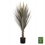 ΔΙΑΚΟΣΜΗΤΙΚΟ ΣΥΝΘΕΤΙΚΟ ΦΥΤΟ HM7987 SISAL AGAVE ΣΕ ΓΛΑΣΤΡΑ 120Υεκ c469901