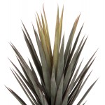 ΔΙΑΚΟΣΜΗΤΙΚΟ ΣΥΝΘΕΤΙΚΟ ΦΥΤΟ HM7987 SISAL AGAVE ΣΕ ΓΛΑΣΤΡΑ 120Υεκ c469901