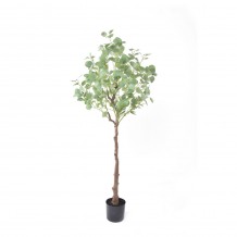 SILVER DOLLAR EUCALYPTUS ΤΕΧΝΗΤΟ ΦΥΤΟ ΣΕ ΓΛΑΣΤΡΑ PE ΜΕΤΑΞΩΤΟ ΥΦΑΣΜΑ ΠΡΑΣΙΝΟ H150cm c471388