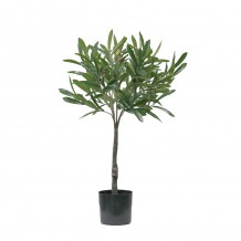 OLIA ΤΕΧΝΗΤΟ ΦΥΤΟ PVC PU ΠΡΑΣΙΝΟ H75cm c476383