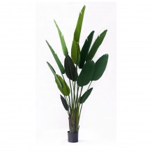 ISOGUDE ΤΕΧΝΗΤΟ ΦΥΤΟ PVC PU ΠΡΑΣΙΝΟ H215cm c476387